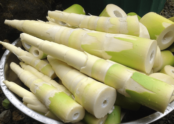 bi cam co an mang duoc khong