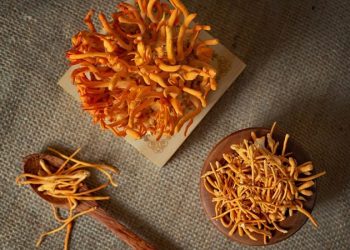 Rượu đông trùng hạ thảo ngâm và dùng sao cho đúng?