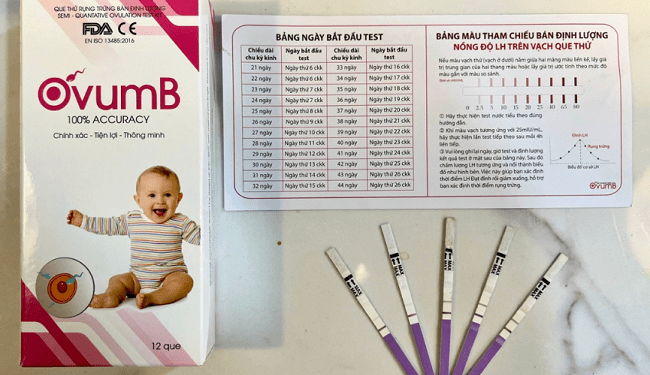 Que thử rụng trứng OvumB – hỗ trợ kế hoạch canh bé gái thành công!