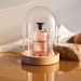 Nước hoa Louis Vuitton Rose Des Vents – Sự lãng mạn và khác biệt